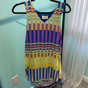 Everly Brand High-Low Seam Tank Dress